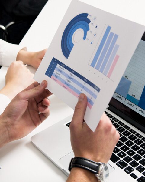 Credit collection system for banks and financial institutions.
